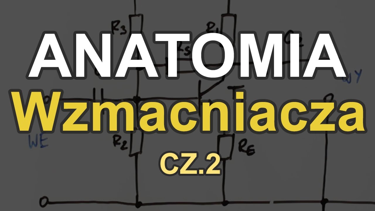 Anatomia Człowieka Sprawdzian 3 Gimnazjum Anatomia wzmacniacza cz.2 [RS Elektronika]#77 - YouTube