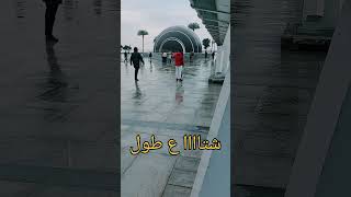 Alex??♥️ مكتبة الاسكندرية