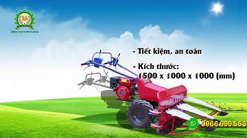 Máy cắt cỏ voi, cỏ sữa, lau, ngô 3A5,5HP