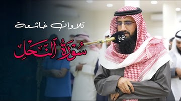 خواتيم سورة النحل عشاىية خاشعة تلاوة مميزة تفوق لا توصف بصوت الشيخ حمزة معاذ | عشاء 15-8-1446 هـ