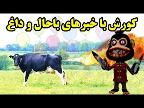 افتادن دندان مجری وسط برنامه زنده فشارهای قرنطینه ای ادرار سفیر کشور جلوی همه و 