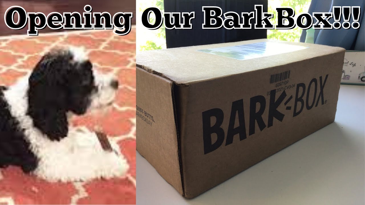 We got our BarkBox! // Opening our Tropical Theme Just in Time for May