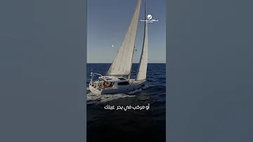 ليتني بدر بسماك يضوى في عتمة سنينك ليتني طير 
