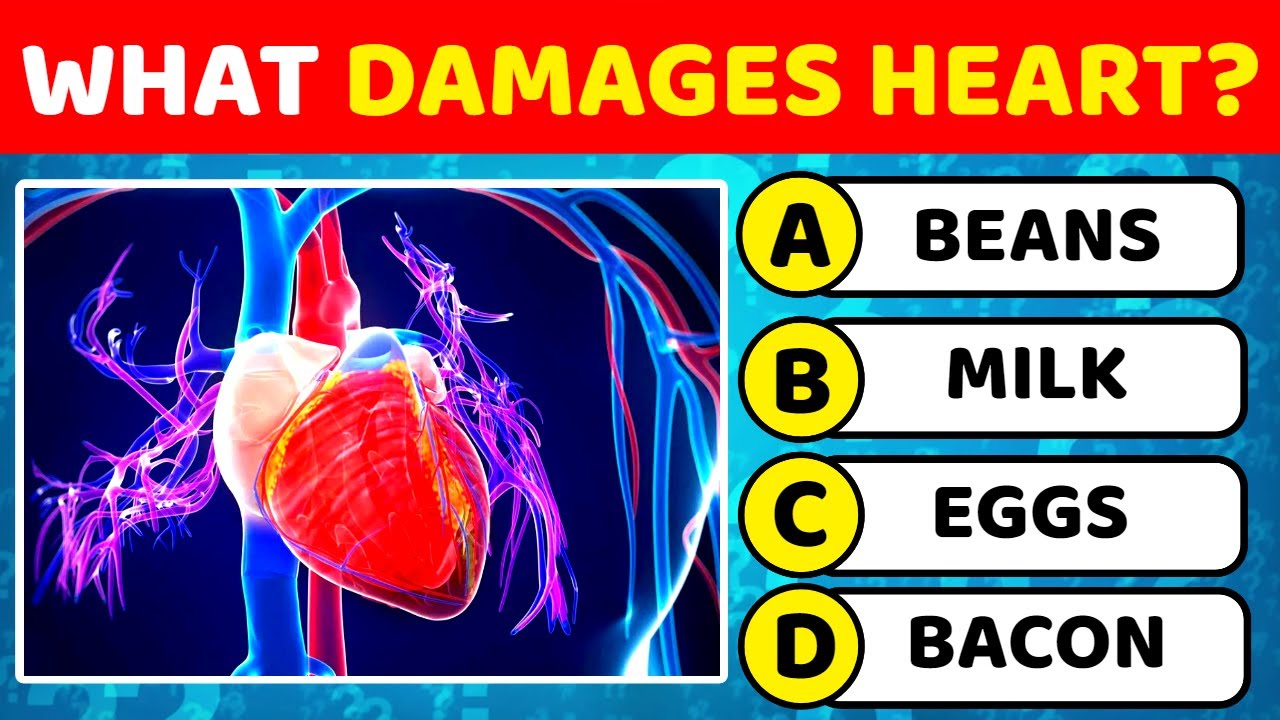 Can You Pass This Human Body Quiz? 📚 Test Yourself With 50 Anatomy ...