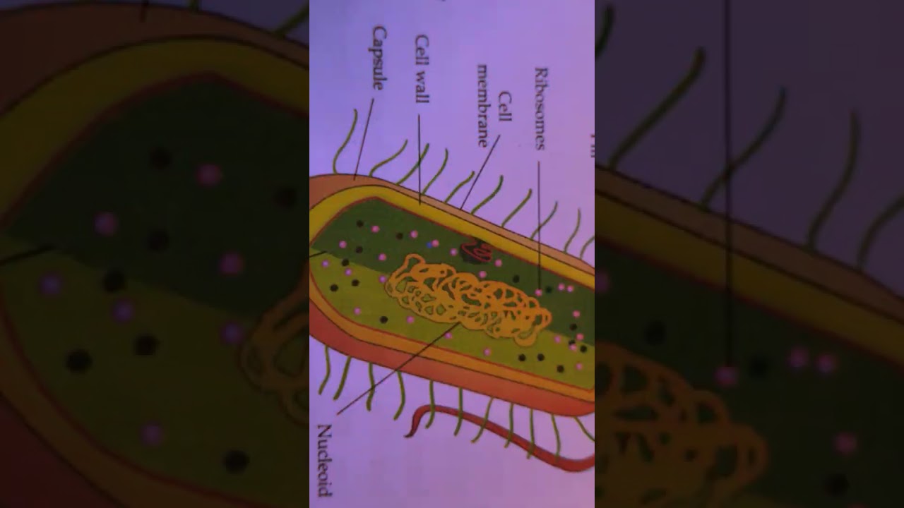 Biology Horror The Fundamental unit of life