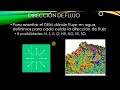 👉 6 ACUMULACION DE FLUJO