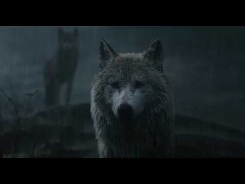 Книга джунглей 2016 FULL HD на русском0007