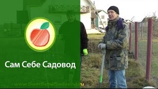 Подготовка ямы и посадка саженца(http://samsebesadovod.ru Евгений Федотов и Роман Врублевски готовят яму для посадки и сажают саженец груши. Здесь..., 2011-12-29T23:11:26.000Z)