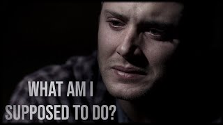 Multifandom || What Am I Supposed To Do?
