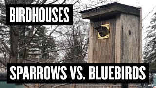 BIRDHOUSES: Sparrows vs. Bluebirds vs. Squirrels