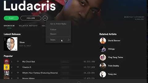 How to find your Spotify artist page URI