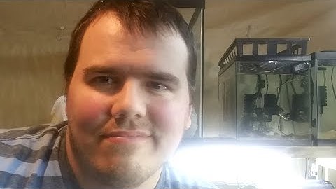 Stream Learning Curve Part 2 Of Test