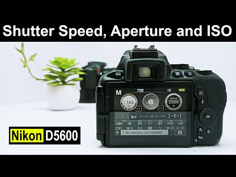 How To Change Shutter Speed On Nikon D5600