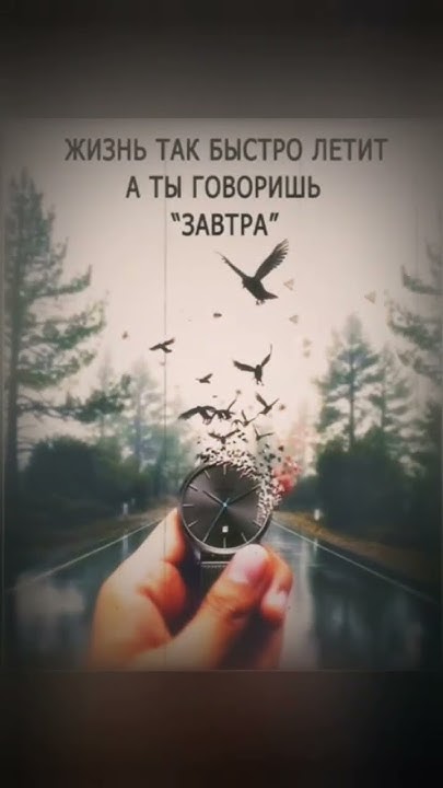 СТИХ СО СМЫСЛОМ! - YouTube