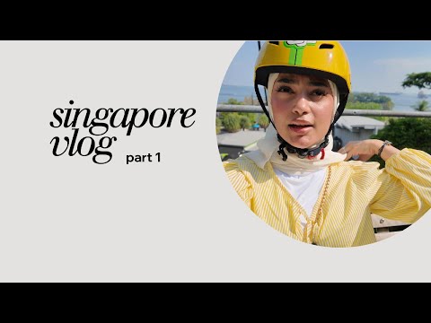 فلوق سنغافورة