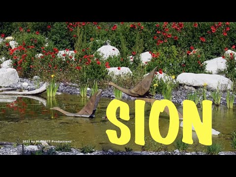 City Walk - Sion West 2021 - Switzerland
