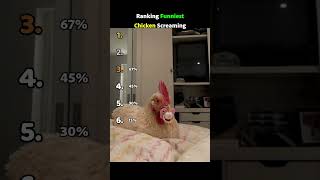 Ranking Funniest Chicken Screaming 😂