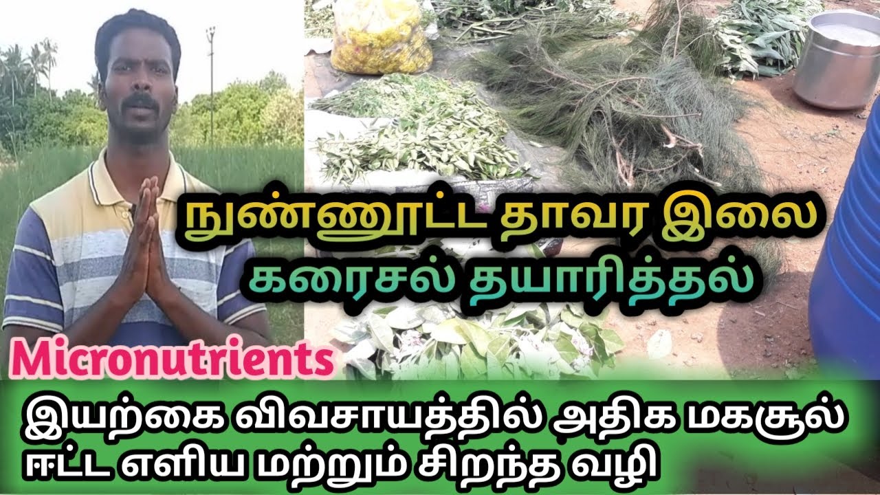 நுண்ணூட்டச்சத்து தாவர இலை கரைசல் தயாரித்தல் | Preparation of micronutrient plant leaf solution|Tamil