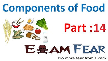 Biology Components of Food Part 14 (Obesity) Class 6 VI