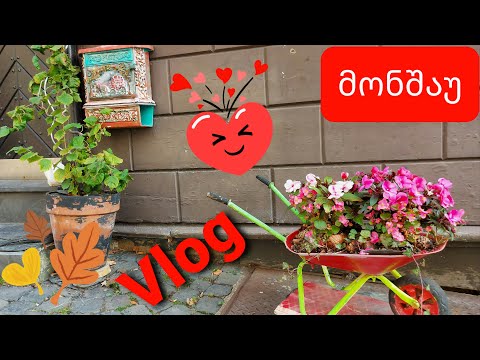Vlog Monschau / ვლოგი მონშაუ / Nina Todria