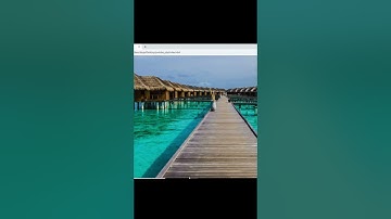 How to Create a Full-Page Background Image | CSS Tutorial #shorts #short  #codingforbeginners