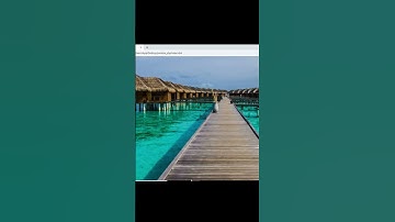 How to Create a Full-Page Background Image | CSS Tutorial #shorts #short  #codingforbeginners