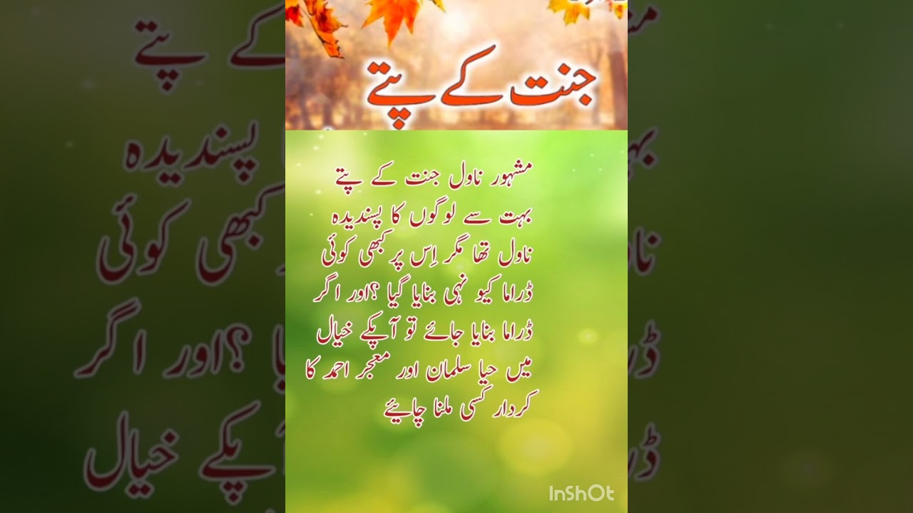 Who Will Play Haya & Jehan? | Jannat Ke Pattay Drama Cast Revealed Soon! 