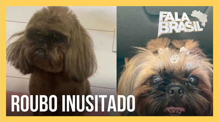 Cachorro é encontrado um mês após roubo com outra cor