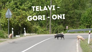 Georgia 24 | Jakso 2 | Telavi - Gori - Oni