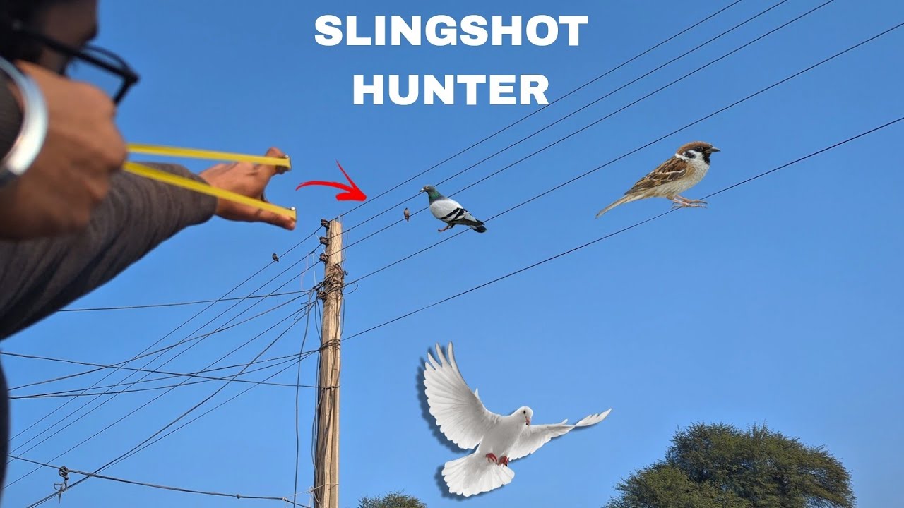 SLINGSHOT HUNTING SMALL GAME ‼️