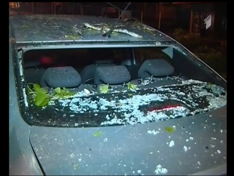 გაუქმებული ავიარეისები, მოგლეჯილი ხეები - უამინდობა საქართველოში