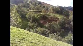 Frondoso Castaño Pisueña_Cantabria