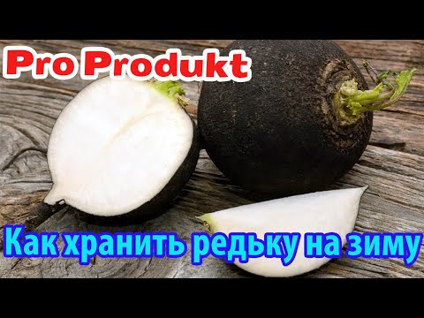 Хранение редьки в домашних условиях