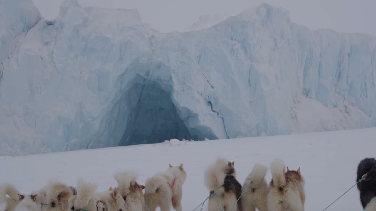 犬橇　2021年4月