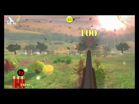 Hurry Up! Bird Hunter Gameplay