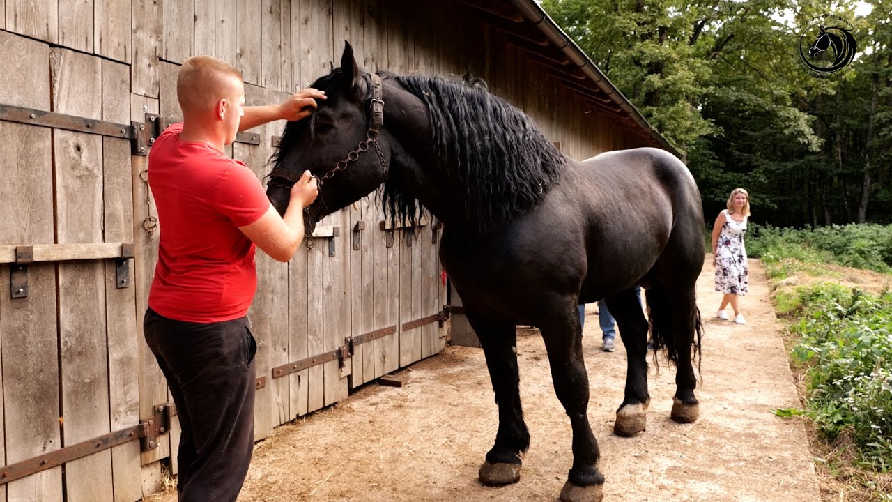 -GAS PETROL KUPIO OPASNOG VRANCA  IZ BUGARSKE -