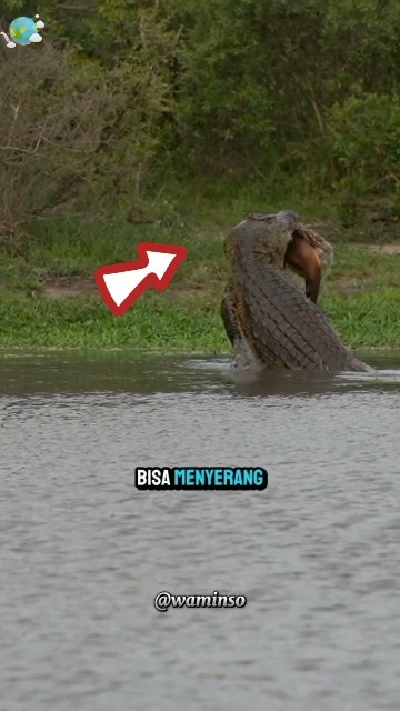 fakta mengerikan sungai Amazon!!💀#shorts #amazon #dangerzone