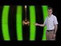 Michael Dickinson (CalTech) 3: How Flies Fly: Control