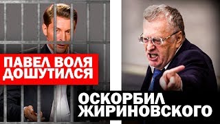 Павел Воля перешел грань. Оскорбил Жириновского Павел Воля перешел грань. Оскорбил Жириновского