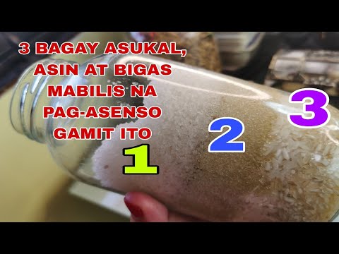 Video: Paano Maglaro ng Roulette: 9 Mga Hakbang (na may Mga Larawan)