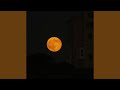 Like The Moon In My Sky 