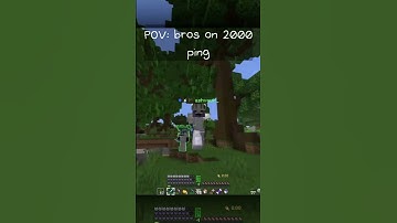 POV: bros at 2000 ping #minecraft