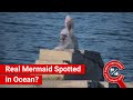 Viral Video Claims to Show Real Mermaid 🧜♀️