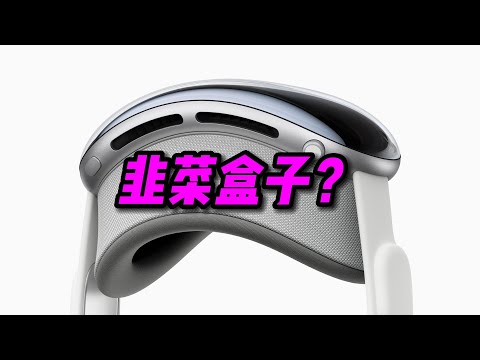 Vision Pro是个韭菜盒子？【PINK丹】