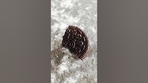 Oreo break