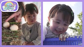         ft   the Return Of Superman  Kbs 260527 