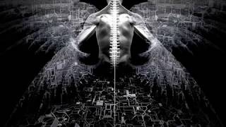 Hellquist - Dewired