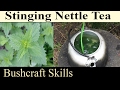 How To Make Stinging Nettle Tea - High Nutritious Herbal Drink For Bushcraft, Prepping And Survival