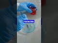 Why Some People Hate Physical Touch