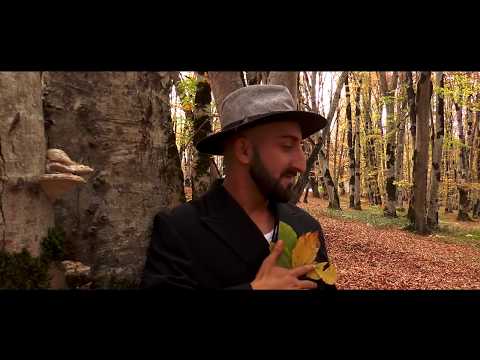 საბა საფარელი - შენზე ფიქრებს